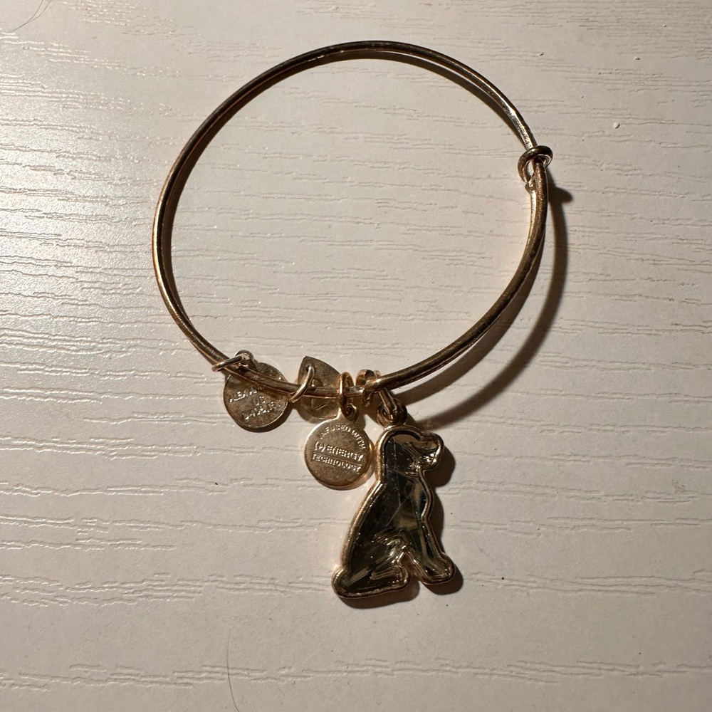 Alex and ani dog bracelet